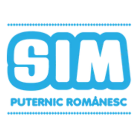 SIMULTAN